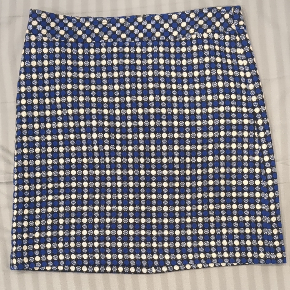Talbots Blue and White Checkered Skirt